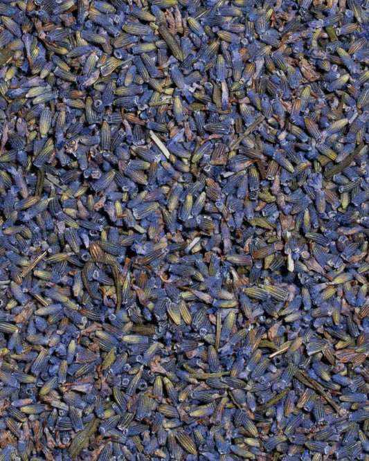 Lavander