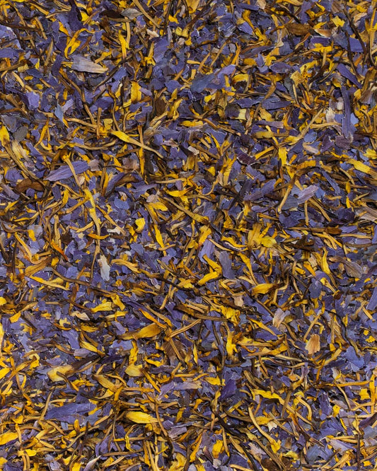 Blue Lotus