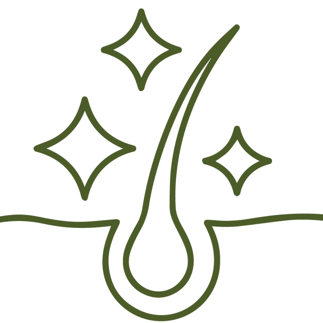 Decorative green design with curved lines and star shapes on a white background